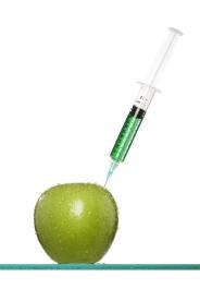 apple with syringe, gm plants, aphis