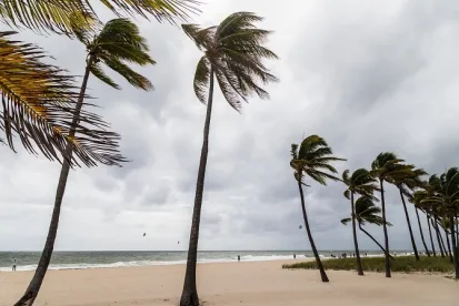 blowing wind, hurricane, recovery