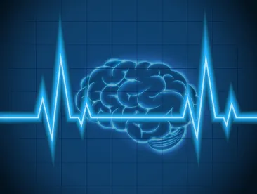 brain, mental health parity