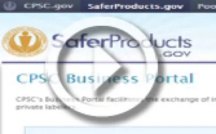 CPSC website, ellliot kaye