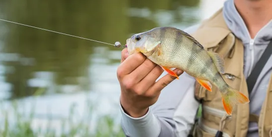 culvert, scotus, tribal law, slamon, fishing