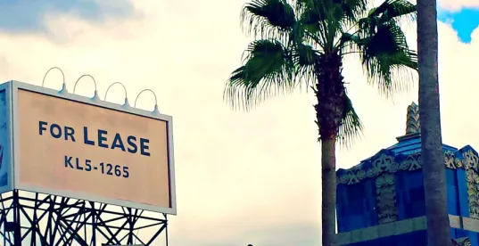 for lease, letters of intent