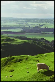 green land, california, 