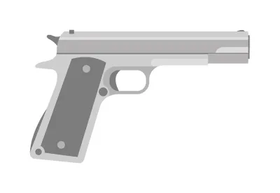 gun, ITAR, DC Circuit
