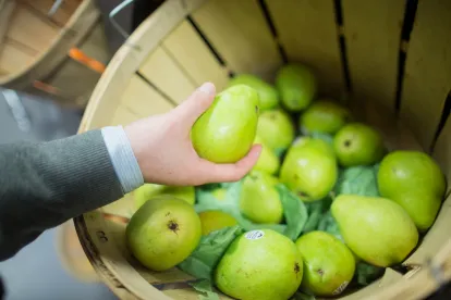 pear in hand, food handling, california