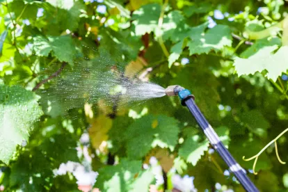 Glyphosate: EPA and Agency for Toxic Substances and Disease Registry