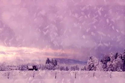 Avoiding collisions during holiday seasons with safe driving tips