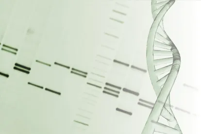 DNA