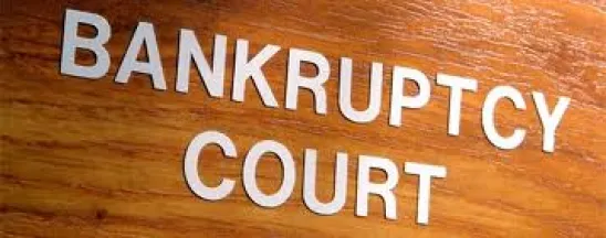 bankruptcy, court, senate, house