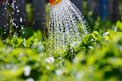 Clean Water Act
