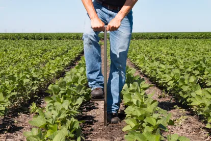 farmer, field, agriculture