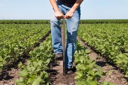 farmer agriculture employment arbitration