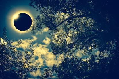 eclipse, tree, sky