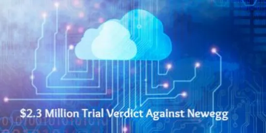 $2.3 Million Trial Verdict Against Newegg