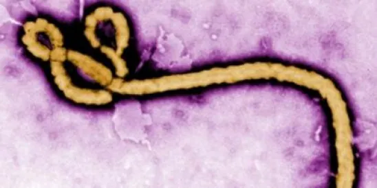 EPA Releases Its Updated Lists of Disinfectants for Emerging Viral Pathogens