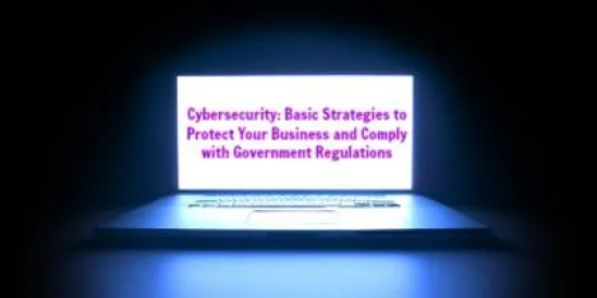 Cybersecurity: Basic Strategies to Protect Your Business and Comply with Governm