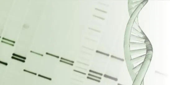 DNA Cube Copyright symbol and Trademark symbol