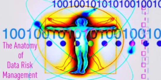 The Anatomy of Data Risk Management Insurance Coverage Law