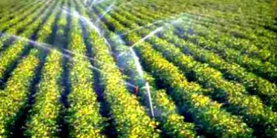 Water Irrigation