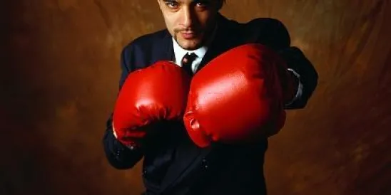 Boxer Business Man