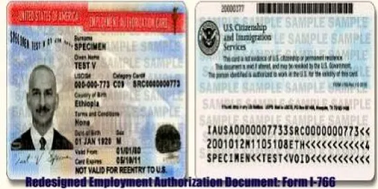 USCIS Introduces Redesigned Employment Authorization Document: Form I-766 