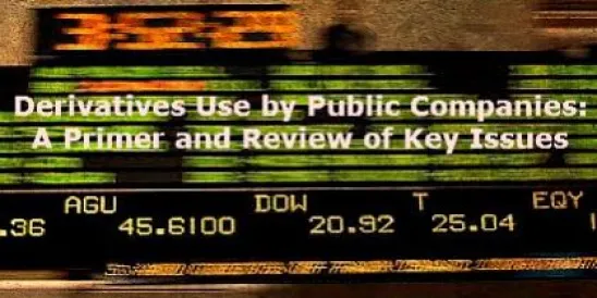 Derivatives Use by Public Companies – A Primer and Review of Key Issues  ";