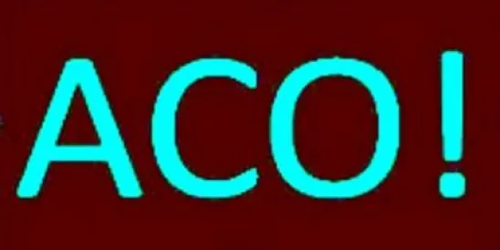 ACO - accountable care organization image