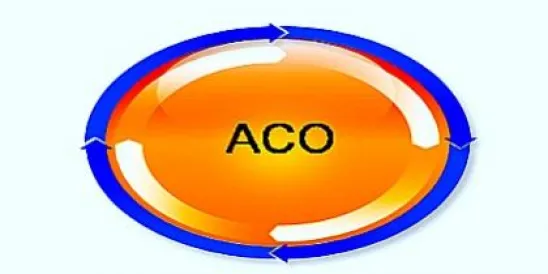 ACO Image