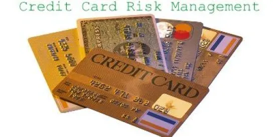 How Visa Safeguards Its Operations