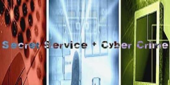 Secret Service and Cyber Crime
