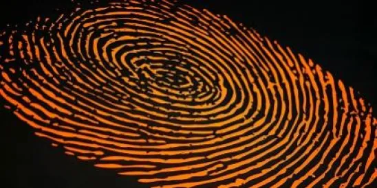 Fingerprint 