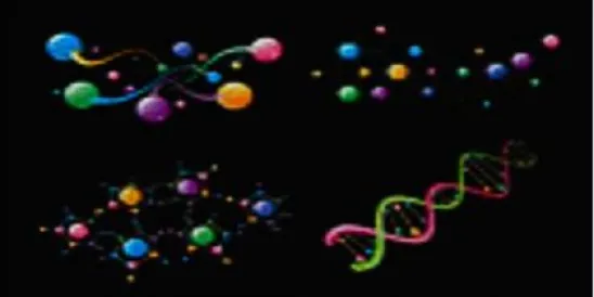 genetic symbols