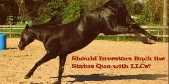 LLC and Corporate Structure for Investors
