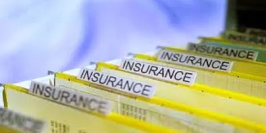 Best of the Worst in Insurance Fraud