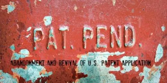 Abandonment and Revival of U.S. Patent Application 