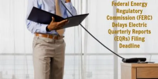 PTO Litigation Center Report – February 6, 2015";