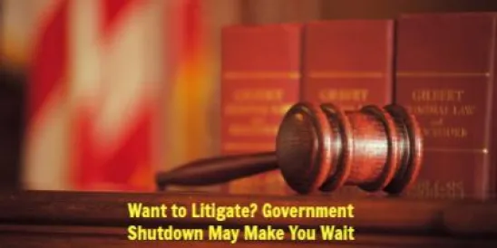 U.S. Tax Court Rejects Internal Revenue Service's (IRS) Restrictive View of Trus