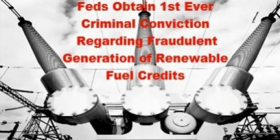 Criminal conviction of fraudulent generation of renewable fuel
