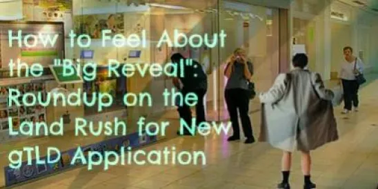 Mall Flasher How to Feel About the "Big Reveal": Roundup on the Land Rush for Ne
