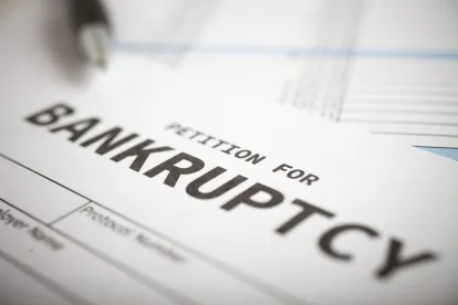 bankruptcy petition, hh gregg
