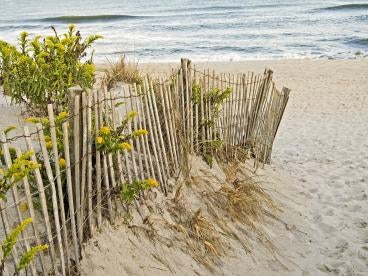 beachfront property subject to environmental landowner legislation