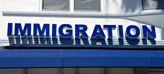 Pro Bono Immigration Work