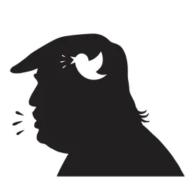 tweet, embedded, display right, SCOTUS