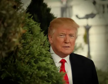 Trump EO Sex & Race Stereotyping