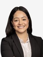 Maria Ortega Castro Corporate & Securities Law Arent Schiff Fox