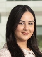 Leeza Birko Civil Litigation Law Wilson Elser