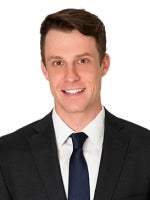 Michael McCarthy Litigation Law Greenberg Traurig