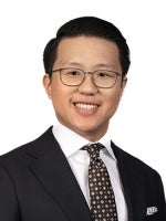 Yongho Lee Public Contracts Litigation Greenberg Traurig