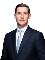 Nils de Wolff Arbitration Lawyer Greenberg Traurig Law Firm