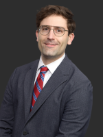 Louis Couture Financial Lawyer Greenberg Traurig Law Firm PA